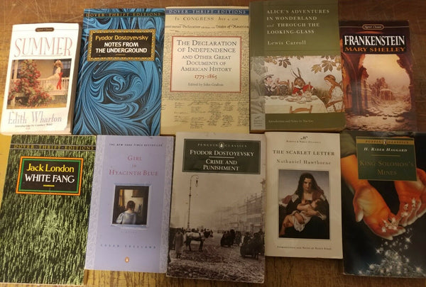 Lot of 10 Classic Paperback Literature Book Penguin Orwell Dickens Steinbeck Mix