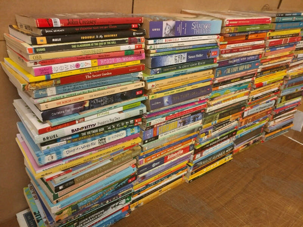 Lot of 20 Chapter Youth Early Readers Young Adults Children Book RL 3-4-5-6 MIX