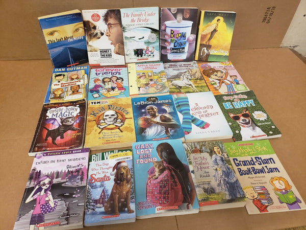 Lot of 20 Chapter ALL SCHOLASTIC Children Young YOUTH RANDOM UNSORTED BOOKS MIX
