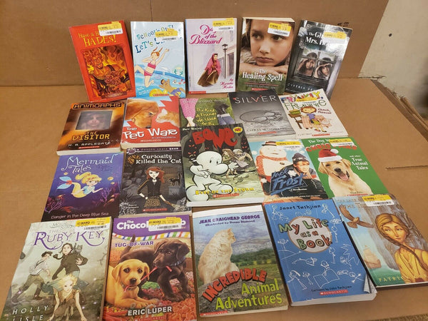 Lot of 20 Chapter ALL SCHOLASTIC Children Young YOUTH RANDOM UNSORTED BOOKS MIX