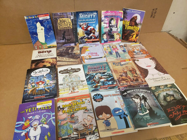 Lot of 20 Chapter ALL SCHOLASTIC Children Young YOUTH RANDOM UNSORTED BOOKS MIX