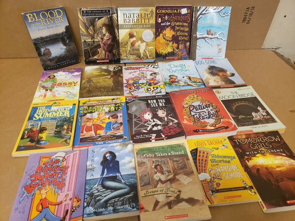 Lot of 20 Chapter ALL SCHOLASTIC Children Young YOUTH RANDOM UNSORTED BOOKS MIX
