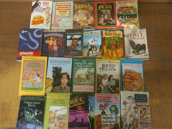 Lot of 20 Chapter Youth Early Readers Young Adults Children Book RL 3-4-5-6 MIX