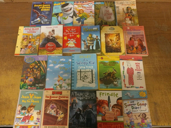 Lot of 20 Chapter Youth Early Readers Young Adults Children Book RL 3-4-5-6 MIX