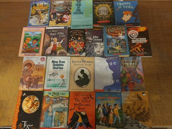 Lot of 20 Chapter Youth Early Readers Young Adults Children Book RL 3-4-5-6 MIX