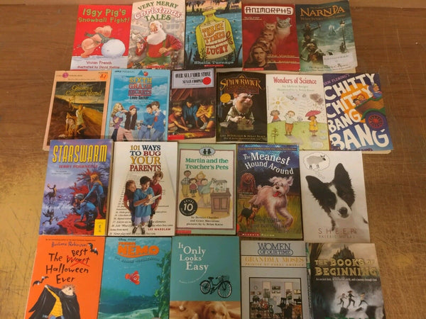 Lot of 20 Chapter Youth Early Readers Young Adults Children Book RL 3-4-5-6 MIX