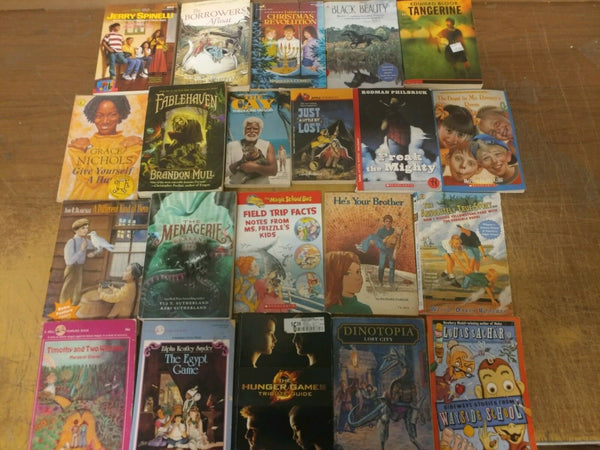 Lot of 20 Chapter Youth Early Readers Young Adults Children Book RL 3-4-5-6 MIX