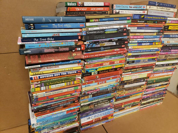 Lot of 20 Chapter ALL SCHOLASTIC Children Young YOUTH RANDOM UNSORTED BOOKS MIX