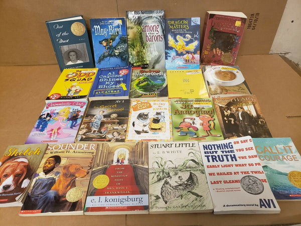 Lot of 20 Chapter ALL SCHOLASTIC Children Young YOUTH RANDOM UNSORTED BOOKS MIX