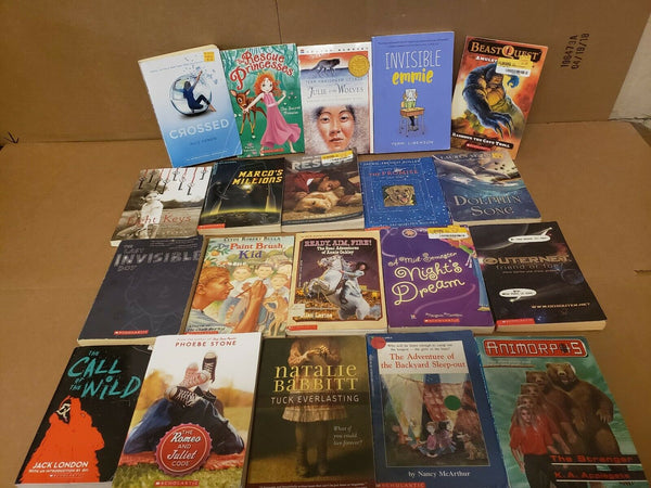 Lot of 20 Chapter ALL SCHOLASTIC Children Young YOUTH RANDOM UNSORTED BOOKS MIX