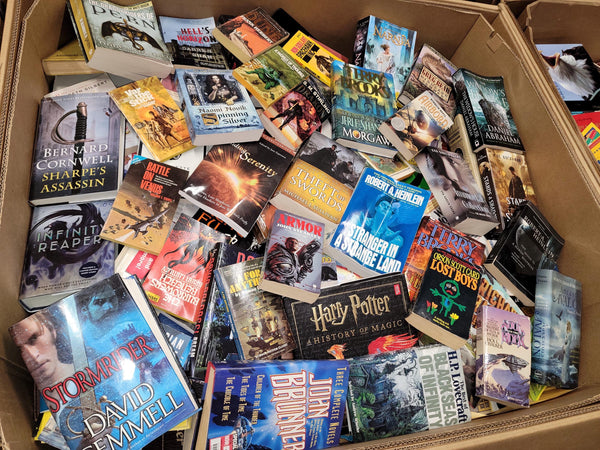 Vintage Sci-Fi Fantasy Book Lot: Mixed Hardback & Paperback — photo 3