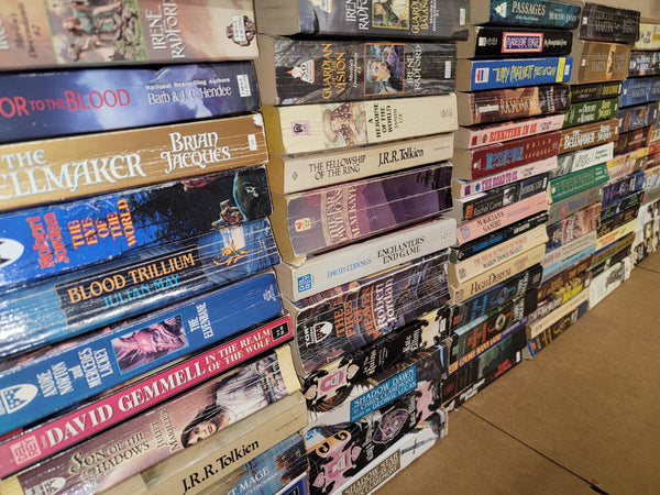 Vintage Fantasy Paperback Book Lot: Curated Mix of Authors — photo 4