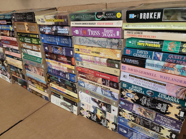 Vintage Fantasy Paperback Book Lot: Curated Mix of Authors — photo 1