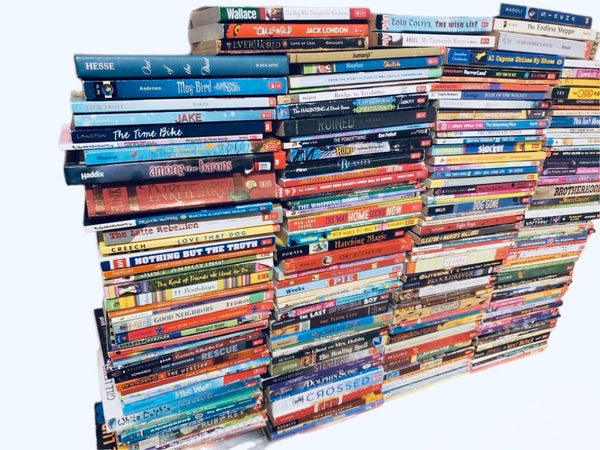Children's Chapter Book Lot: RL 2-6, Curated Mix - You Choose Quantity — photo 9