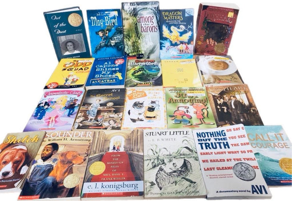 Children's Chapter Book Lot: RL 2-6, Curated Mix - You Choose Quantity — photo 2
