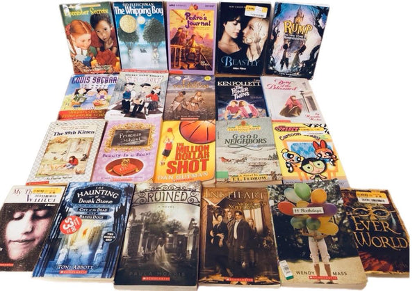 Children's Chapter Book Lot: RL 2-6, Curated Mix - You Choose Quantity — photo 4
