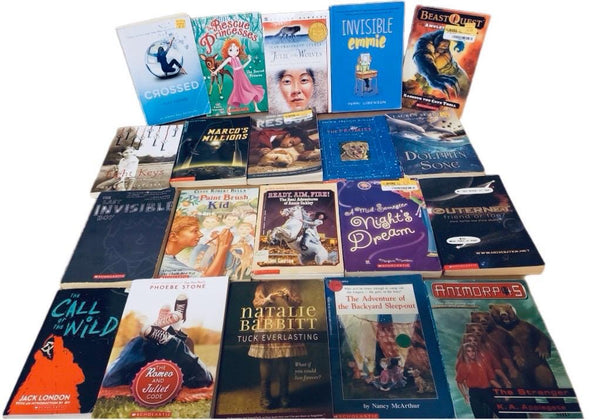 Children's Chapter Book Lot: RL 2-6, Curated Mix - You Choose Quantity — photo 6