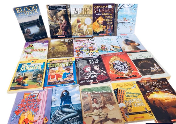 Children's Chapter Book Lot: RL 2-6, Curated Mix - You Choose Quantity — photo 7