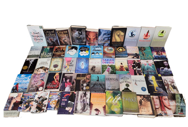 Curated Young Adult Book Lot: Chapter Books, Story Collection — photo 3