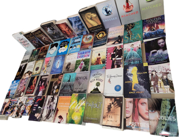 Curated Young Adult Book Lot: Chapter Books, Story Collection — photo 1
