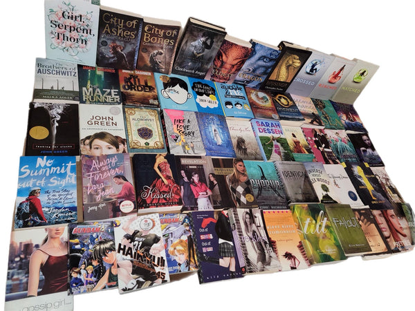 Curated Young Adult Book Lot: Chapter Books, Story Collection — photo 2