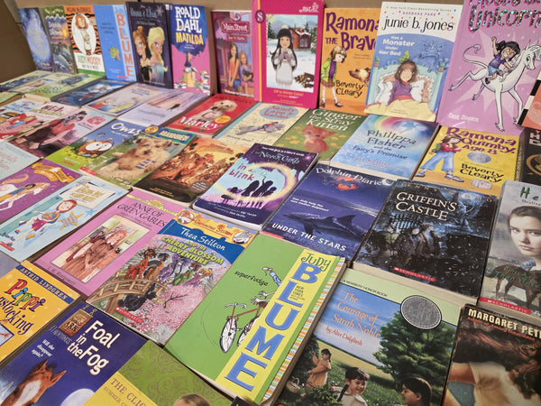 Girls' Chapter Book Lot: Ages 9-12, Mystery, Adventure — photo 1