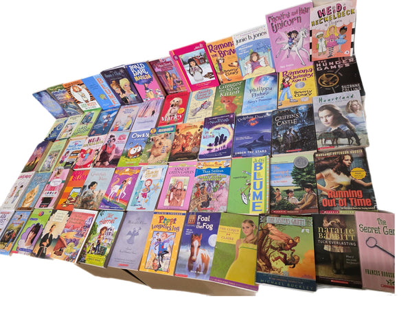 Girls' Chapter Book Lot: Ages 9-12, Mystery, Adventure — photo 2
