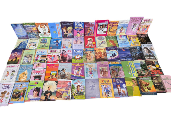 Girls' Chapter Book Lot: Ages 9-12, Mystery, Adventure — photo 3