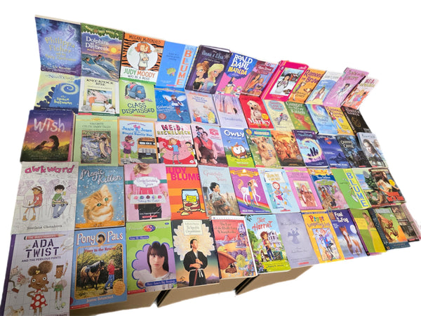 Girls' Chapter Book Lot: Ages 9-12, Mystery, Adventure — photo 4