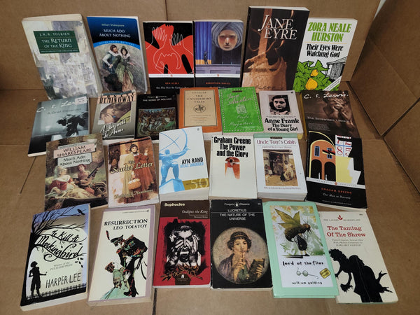 Classic Literature Paperback Book Lot: Curated Mix & Match — photo 2