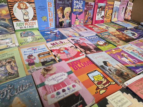Girls' Chapter Book Lot: Ages 9-12, Mystery, Adventure — photo 5