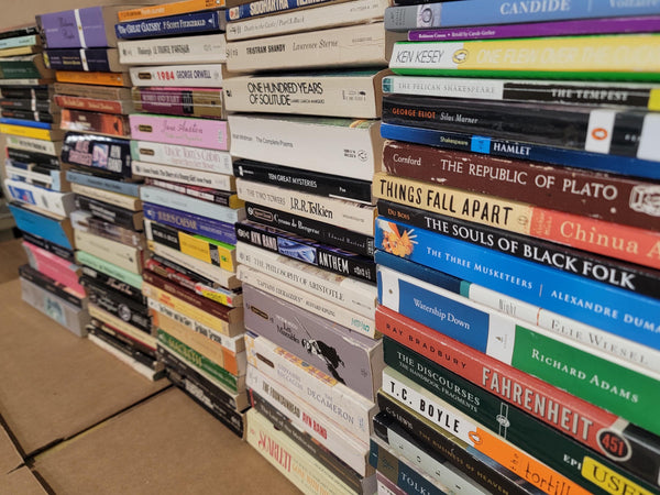 Classic Literature Paperback Book Lot: Curated Mix & Match — photo 1