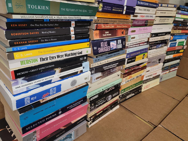 Classic Literature Paperback Book Lot: Curated Mix & Match — photo 3