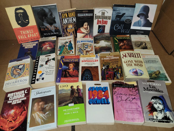 Classic Literature Paperback Book Lot: Curated Mix & Match — photo 7