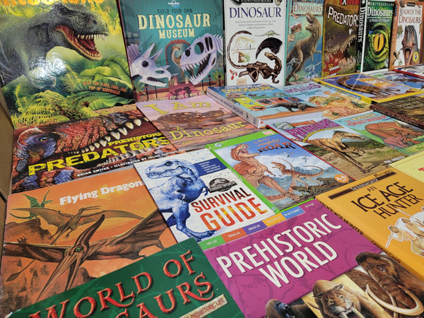 Dinosaur Kids Books Lot: Prehistoric Educational Reader Set — photo 5