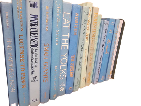 Blue Hardcover Books by the Foot: Modern Book Decor — photo 4