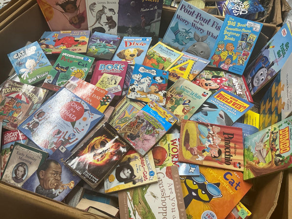 10 Pound Book Lot– "CHOOSE YOUR GENRE" Mix of Fiction and Nonfiction Books | Mystery, Romance, Kids, Classics and More | Bulk Books by Pound — photo 9