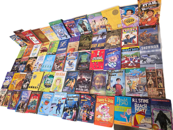 Boys' Chapter Book Lot: Ages 7-12, Homeschool & Classroom Library — photo 4