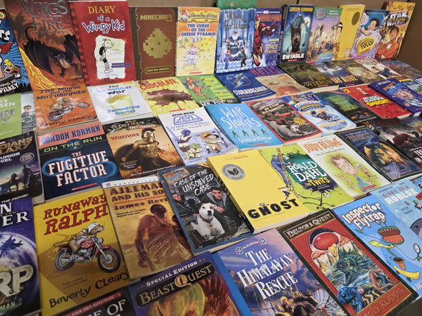 Boys' Chapter Book Lot: Ages 7-12, Homeschool & Classroom Library — photo 5