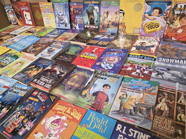 Boys' Chapter Book Lot: Ages 7-12, Homeschool & Classroom Library — photo 3