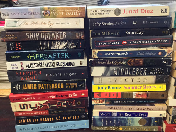 15 Large Trade Paperback Books Fiction Assorted Mix Genre RANDOM Set Literature Lot Romance/Mystery/Thriller/Adventure/Etc... — photo 3
