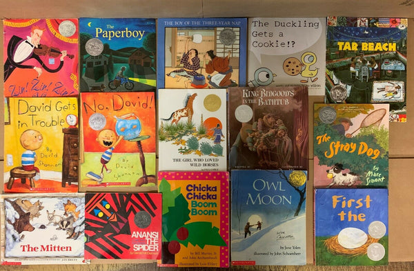 Lot of 15 Caldecott Honor Award Winning Chapter Children Kid Books AR*RANDOM MIX