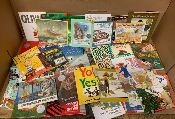 Lot of 15 Caldecott Honor Award Winning Chapter Children Kid Books AR*RANDOM MIX