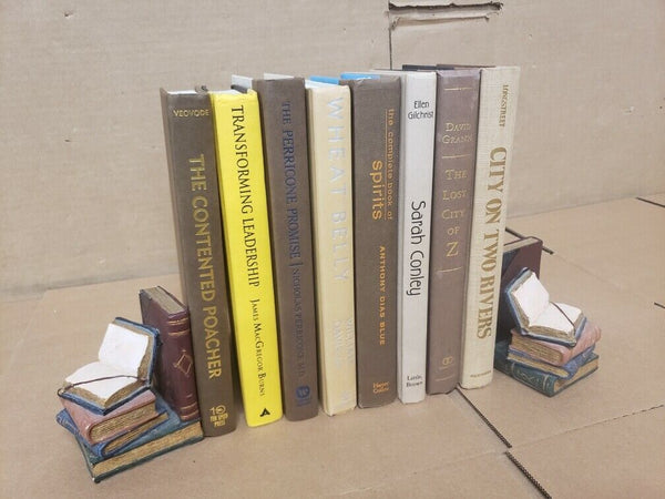 Lot of 6 Hardcover Tan Brown Yellow Cream Shades Books for Staging Prop Decor