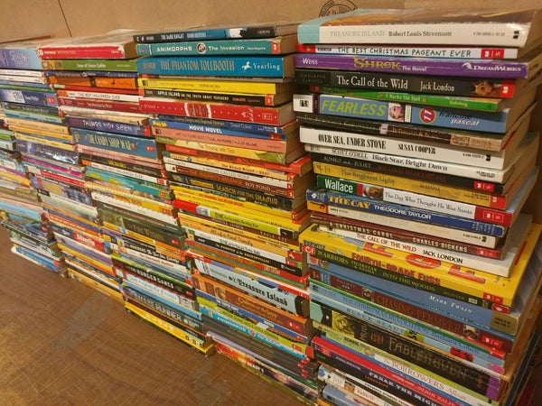 Lot of 20 Chapter Youth Early Readers Young Adults Children Book RL 3-4-5-6 MIX
