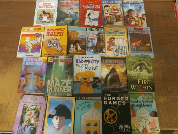 Lot of 20 Chapter Youth Early Readers Young Adults Children Book RL 3-4-5-6 MIX