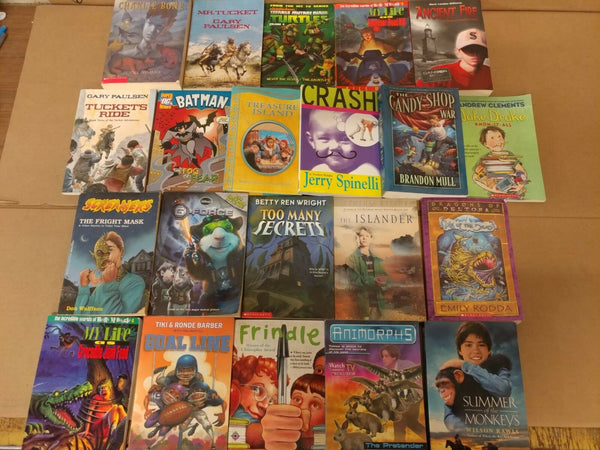 Lot of 20 Chapter Books for BOYS Youth Early Reader Young Adults Children RANDOM