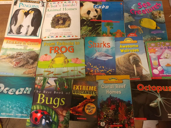 Lot of 10 Science Nature Experiment Animal Educational Learn Kid Child Books MIX
