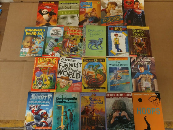 Lot of 20 Chapter Books for BOYS Youth Early Reader Young Adults Children RANDOM